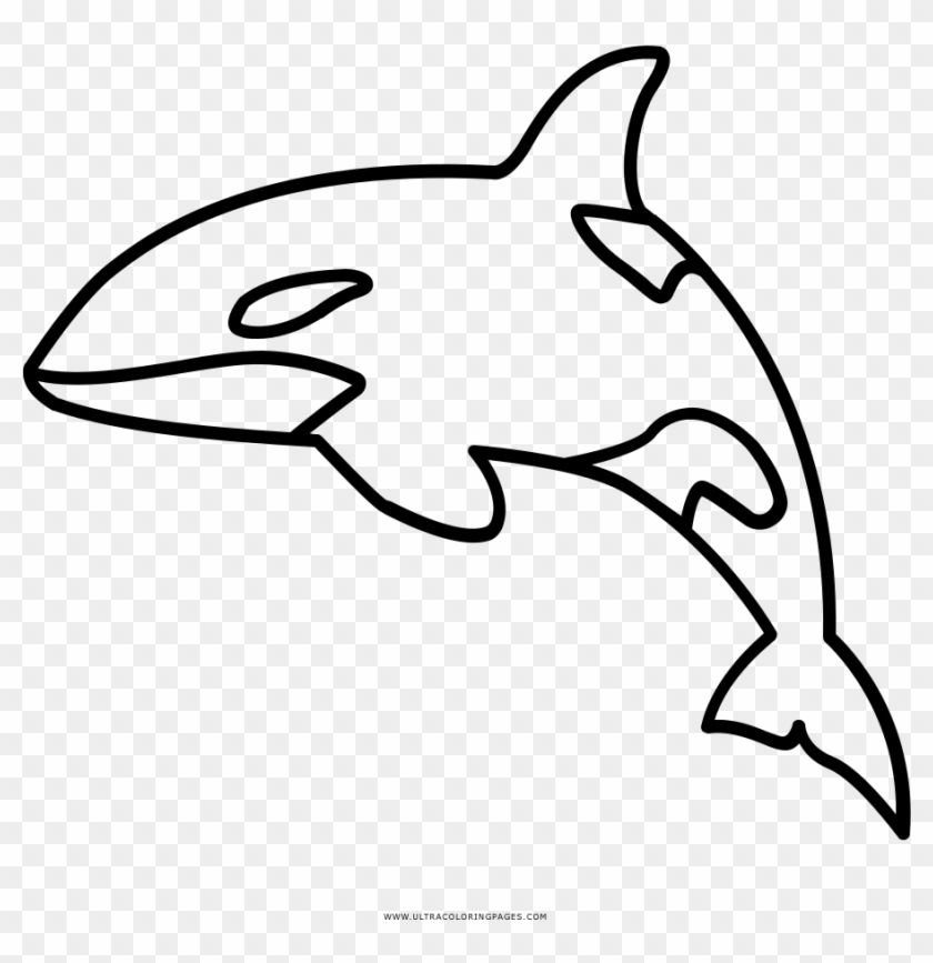Full Size Of Coloring Book And Pages - Orca Whale Outline #1278588