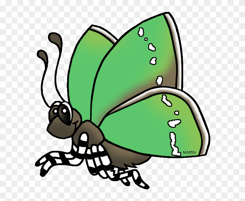 Sheridan's Green Hairstreak Butterfly - Sheridan's Green Hairstreak Butterfly Drawing #1278989