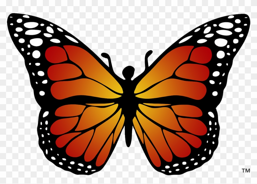 Click The - Monarch Butterfly Coloring Page #1279095