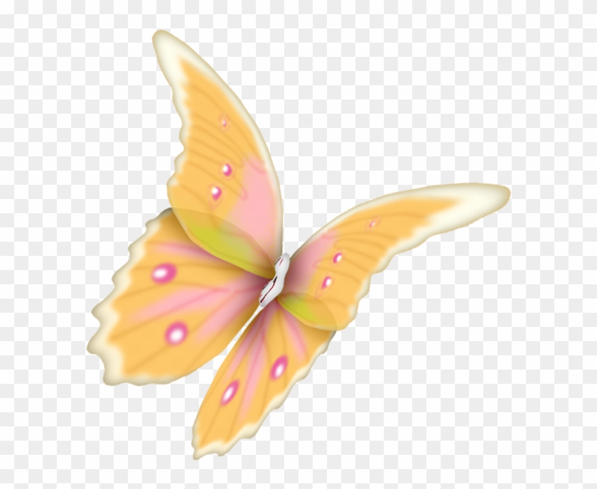 Butterfly Moth Animal - Cyaniris #1279462