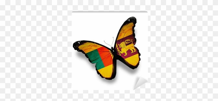 Sri Lanka Flag Butterfly, Isolated On White Wall Mural - St Lucia Independence Day 2018 #1279505