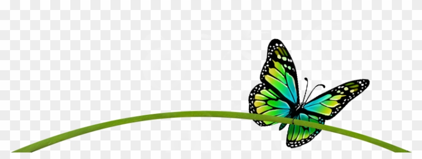 Get Help With Your Transformation Projects - Monarch Butterfly #1279521