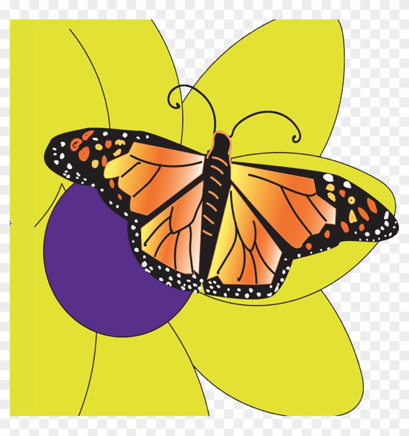 Butterfly - Butterfly #1279704