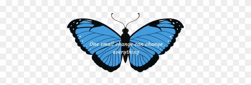 Vector Graphics #1279792