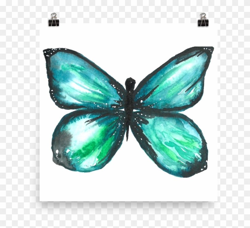 Green Butterfly Matte Paper Poster - Lycaenid #1279813