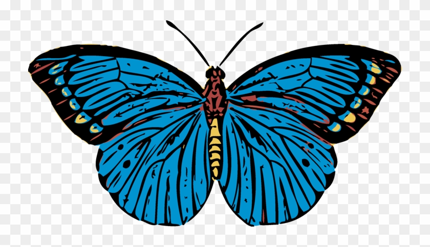 Click The Butterfly To Enter < - Bee #1279818