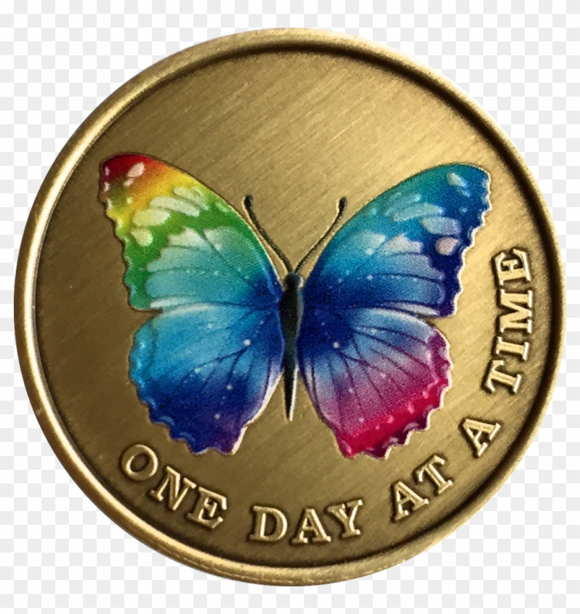 Color Rainbow Butterfly One Day At A Time Medallion - Color Rainbow Butterfly One Day At A Time Medallion #1279863