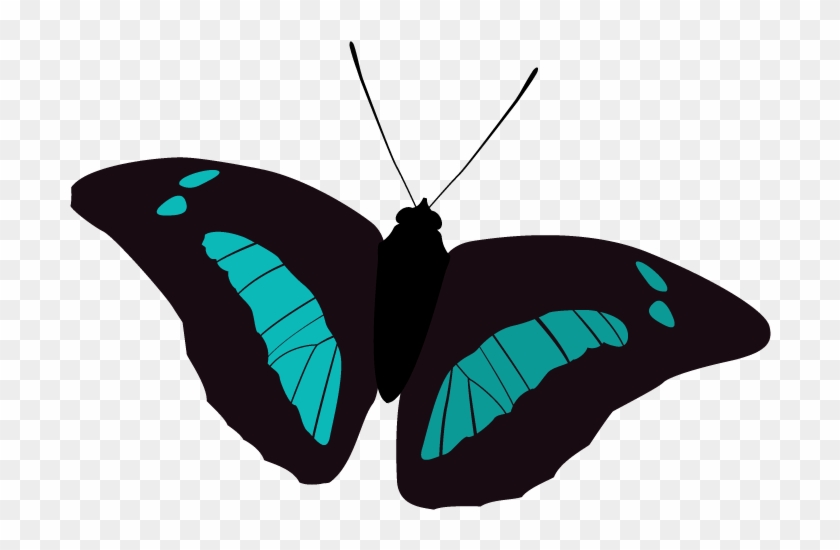 Blue Butterfly - Swallowtail Butterfly #1280039