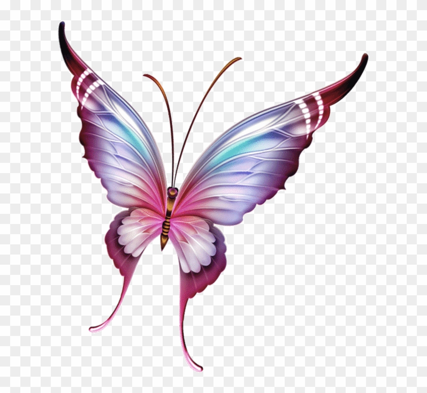 110795869 Large 0 A3eb2 Bb49937a Xl - Flutter #1 Butterfly Cross Stitch Pattern #1280063