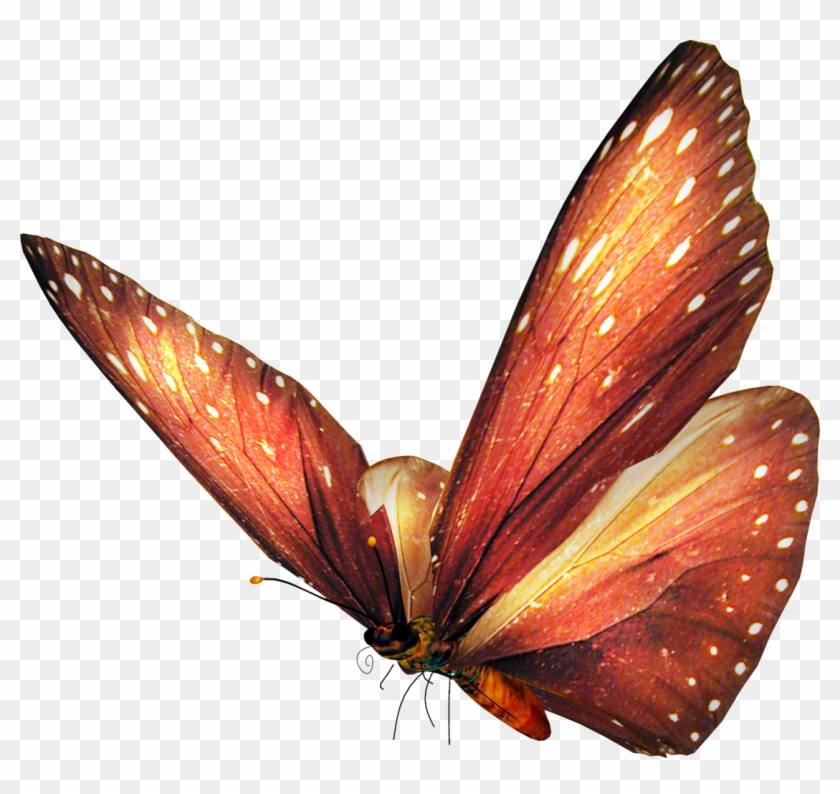 Imagenes De Mariposas Sin Fondo - Purple Butterfly Customized Rectangle Mousepad, Mouse #1280073
