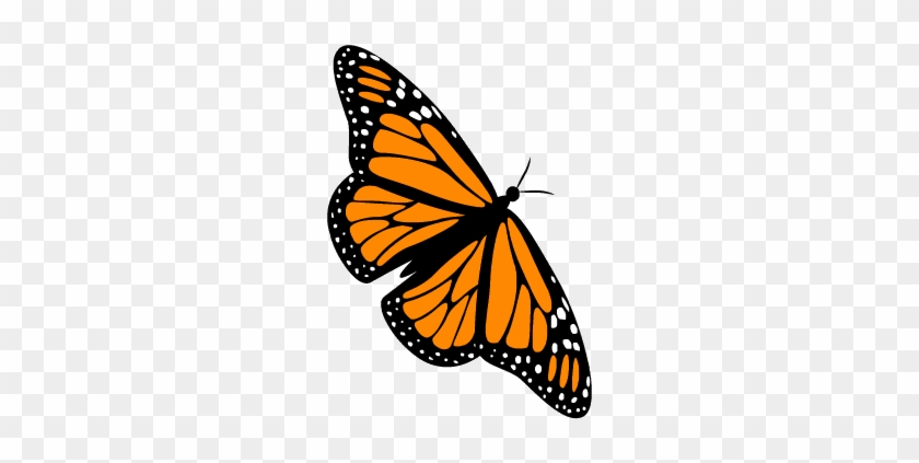 Ani-butterfly - Butterfly #1280074
