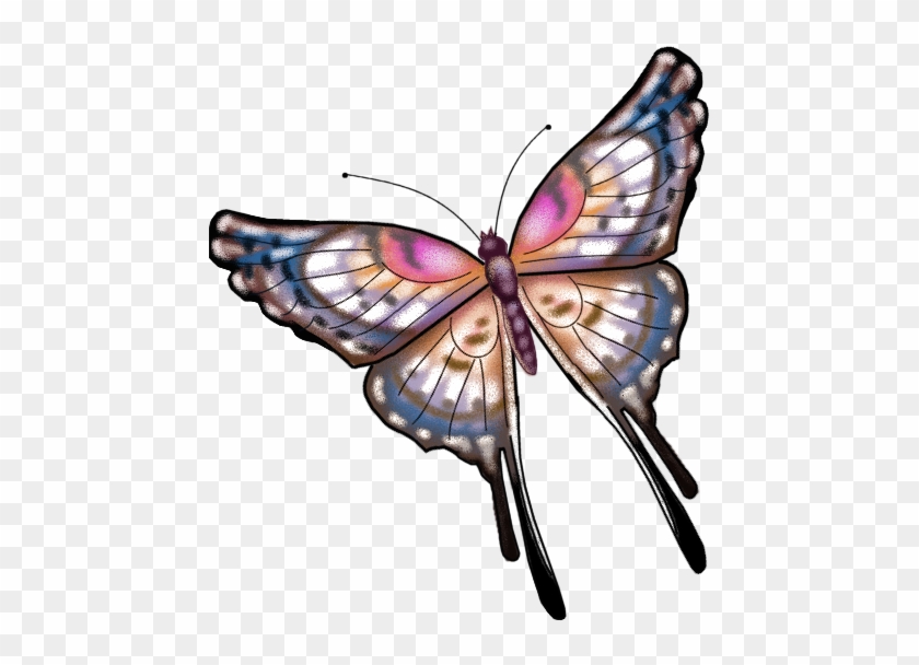 Ytr4zpno - Monarch Butterfly #1280106