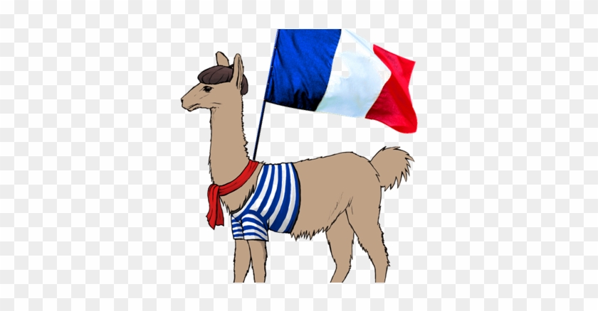 Lama Francais - French The Llama #1280181