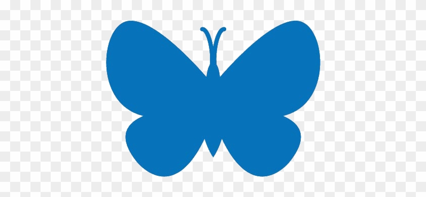 Home - Butterfly #1280247