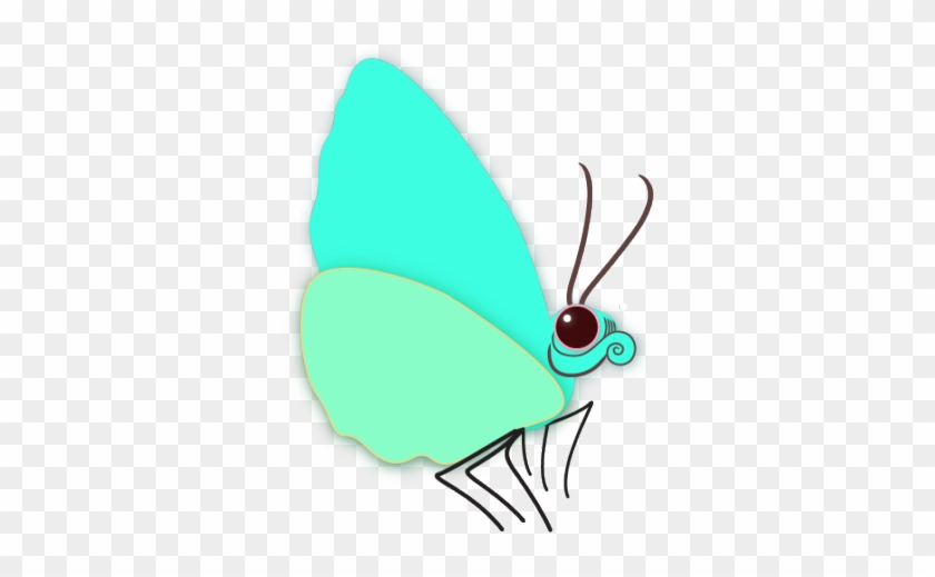 A Butterfly - Butterfly #1280261