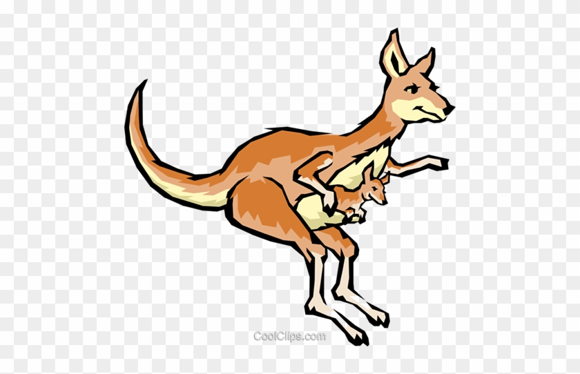 Cartoon Kangaroos Royalty Free Vector Clip Art Illustration - Great Aussie Joke Book [book] #1280272
