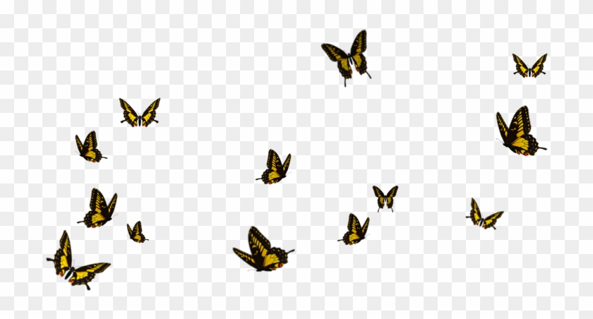 Flying Butterflies Png - Flock Of Butterflies Png #1280377