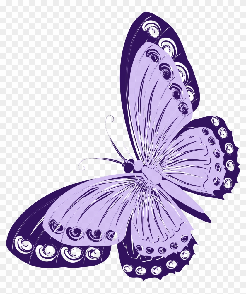 To0 - Ru - To0 - Ru - Butterflies And Moths #1280385
