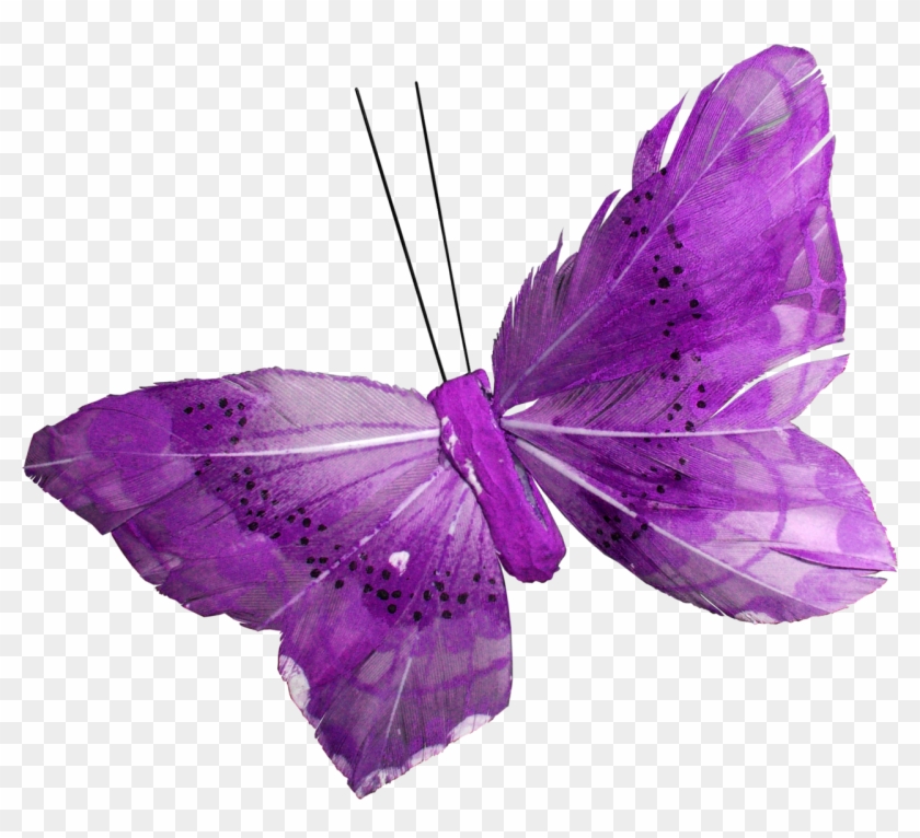 Бабочка Сделана Из Фиолетовых Перьев - Бабочка Фиолетовая Пнг #1280392