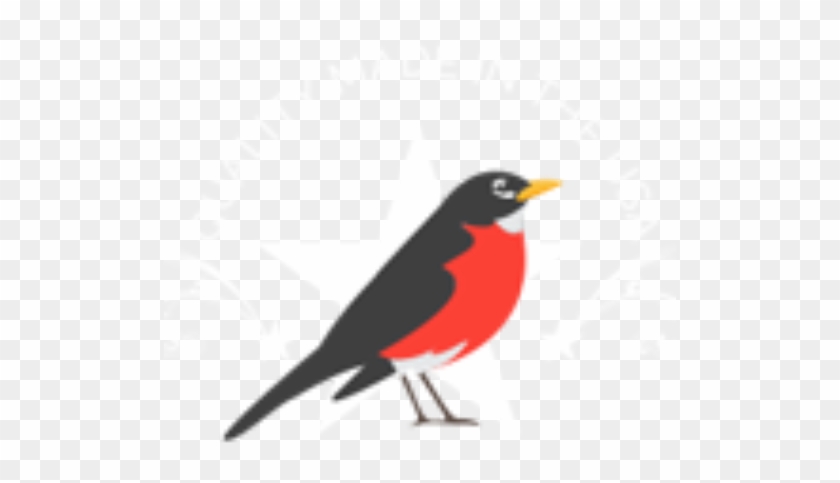 Download Png Image Report - American Robin #1280472