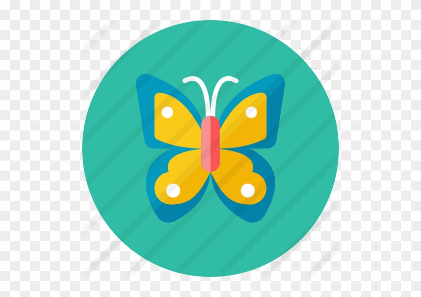 Butterfly - Butterfly Icon #1280487