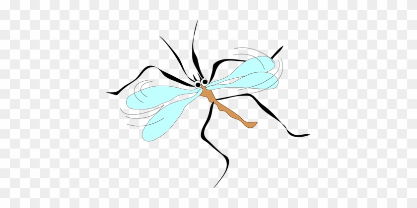 Mosquito Wings Long Sucker Insect Blood Le - Mosquito Clip Art #1280489