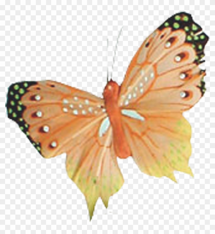 Posted By Alicia Holloway/butterfly1037 At - Gulf Fritillary #1280725