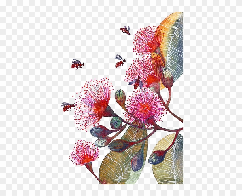 Flower Paper Bee Watercolor Painting Corymbia Ficifolia - Art Print Flowering Gum #1280843