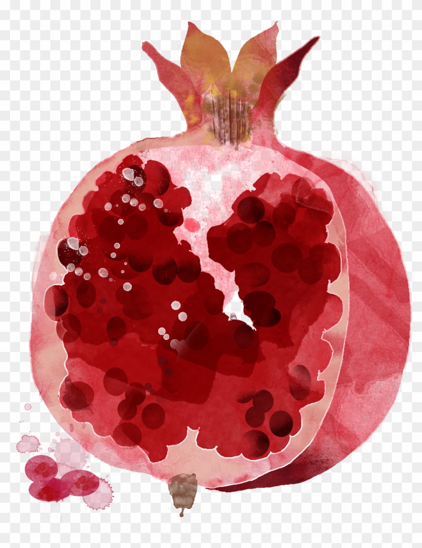 Watercolor Painting Drawing Fruit Illustration - Pomegranate Open #1280996