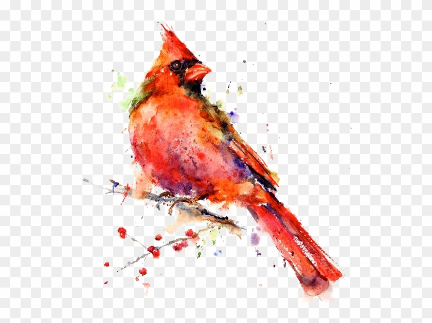 Bird Watercolor Painting Drawing Canvas Print - Watercolour Painting Of Animals #1280998