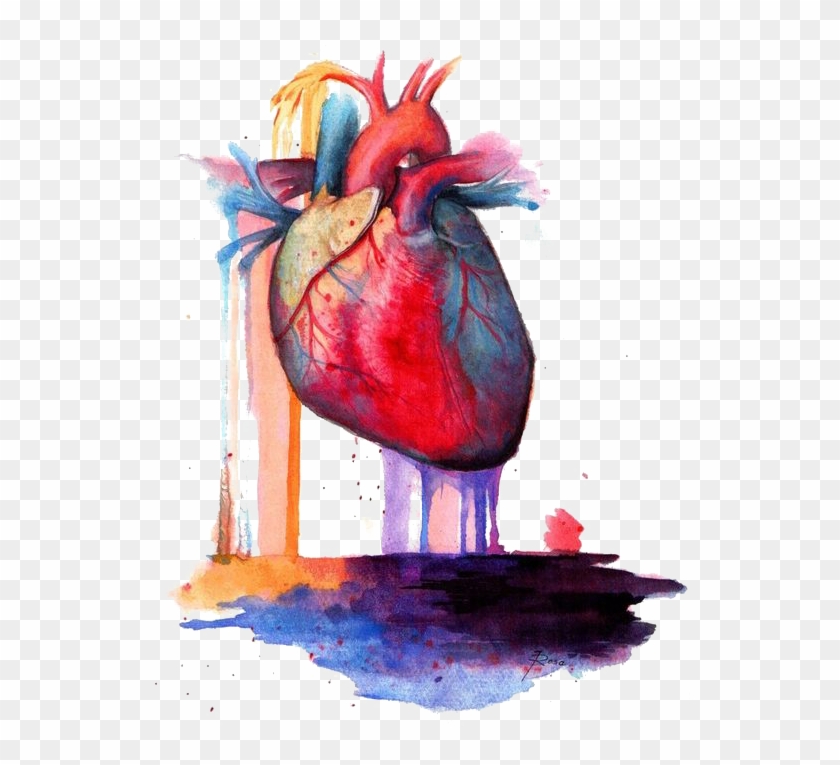 Heart Anatomy Watercolor Painting - Human Heart Watercolor Painting #1281008