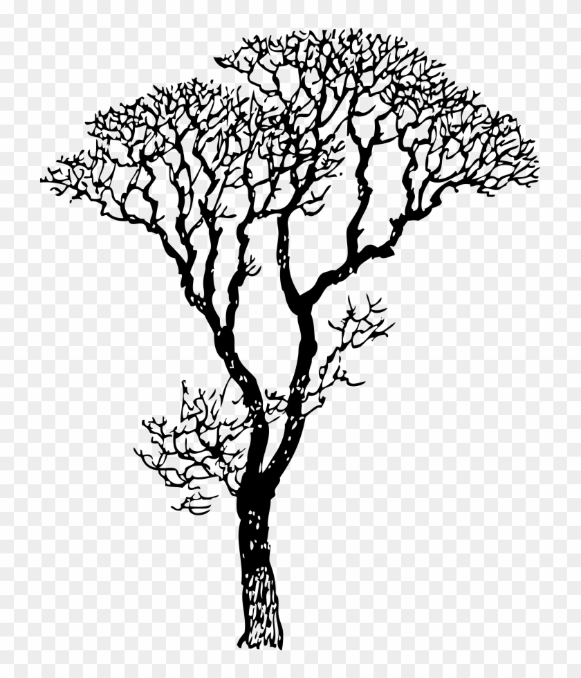 Bare Tree Svg File - Makes A Dad Poem #1281331