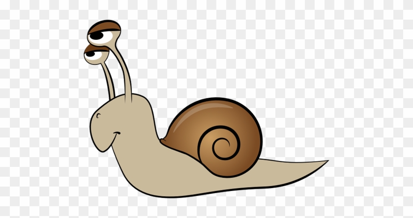 Cartoon Snail - Cartoon Snail Png #1281377