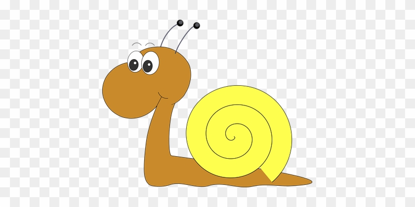 Snail Happy Funny Cute Snail Snail Snail S - Snail Clip Art Png #1281391