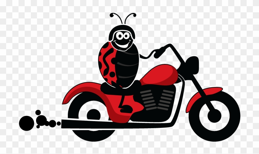 Motorbike Storage - Ladybird Self Storage #1281411