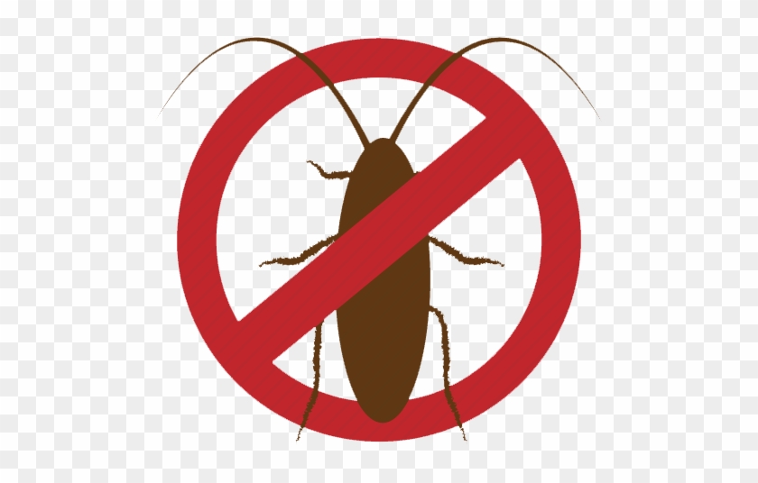 Null Pest Control Services Cockroach - Pest #1282371