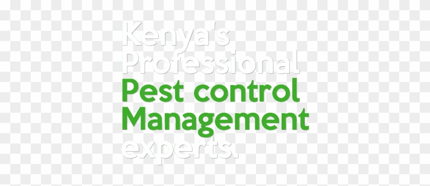 Kenya's Professional Pest Control Management Experts - Kenya's Professional Pest Control Management Experts #1282394