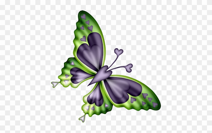 Butterflies°• - ‿✿⁀ - Butterfly #1282417