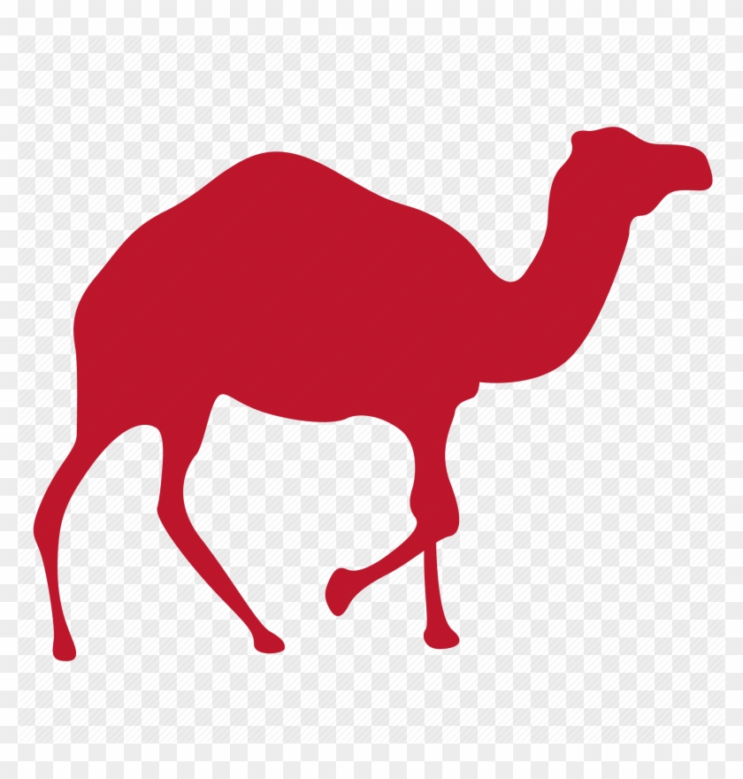 Camels Clipart Load - Camel Icon #1283216