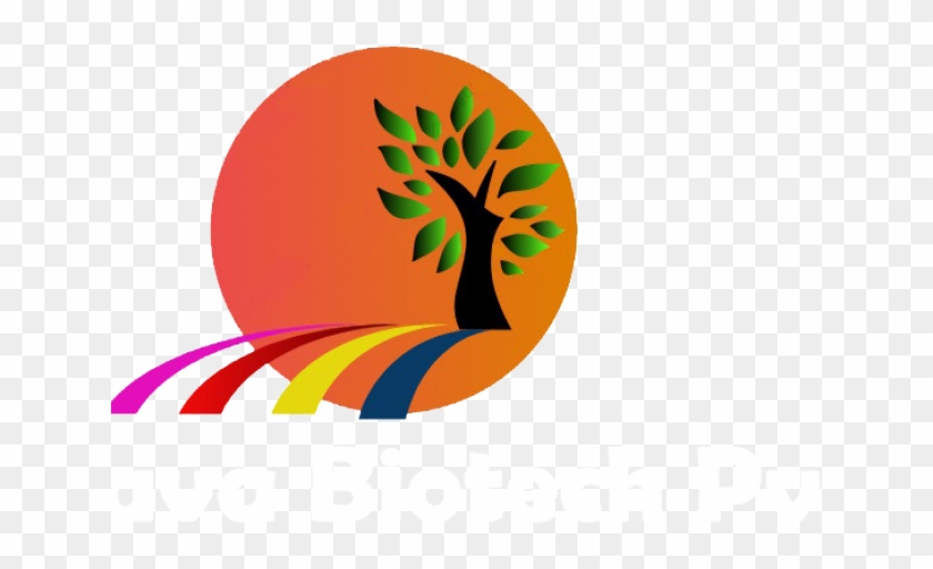 Plants Clipart Jowar - Clip Art #1283788