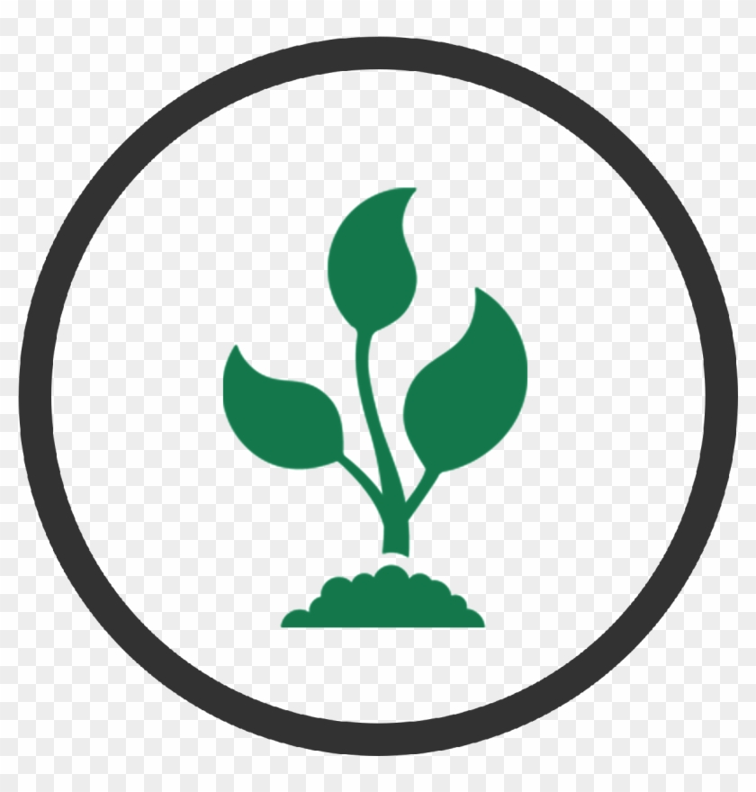 Plants Clipart Jowar - Emblem #1283802