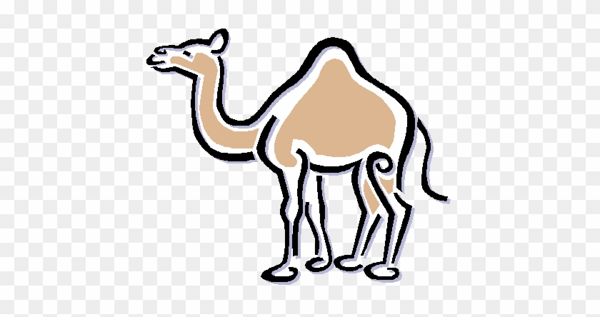 Fulkiadli Blog Kelinci Hingga Kambing Unta Menurut - Hump Day Camel Cartoon #1283923