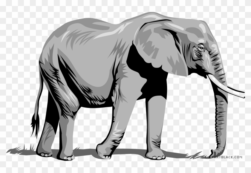 Elephant High Quality Animal Free Black White Clipart - Elephant Png Clipart #1284222