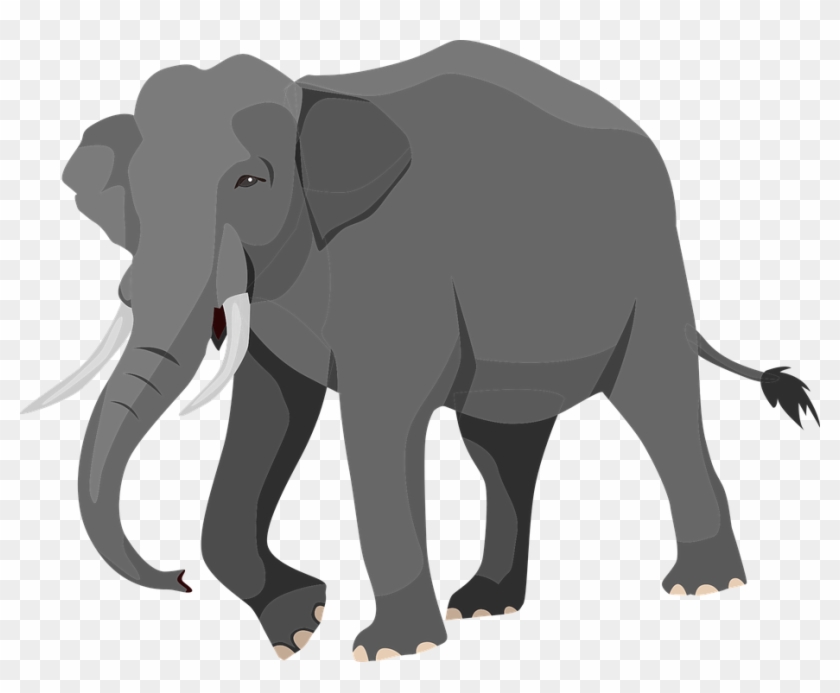 Elephant Graphic - Elephant Vector Png #1284239