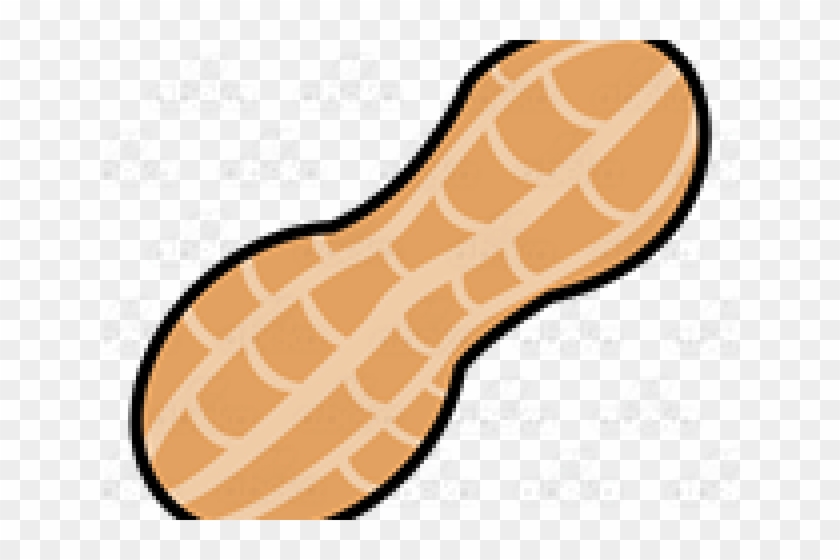 Nut Clipart - Nut Clipart #1284255