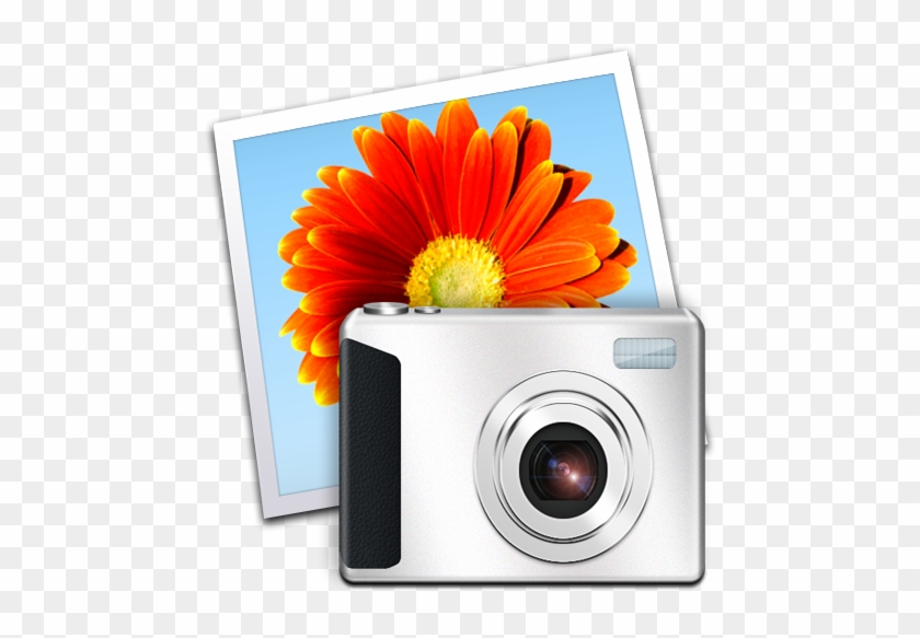 Photo Gallery - Windows Photo Gallery Icon #1284258