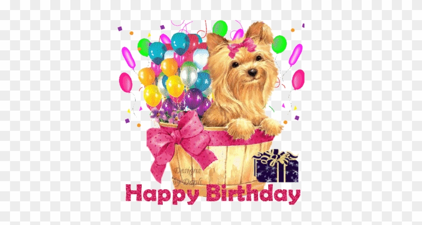 Unique Free Download Images Happy Birthday Birthday - Happy Birthday Images With Yorkie #1284651