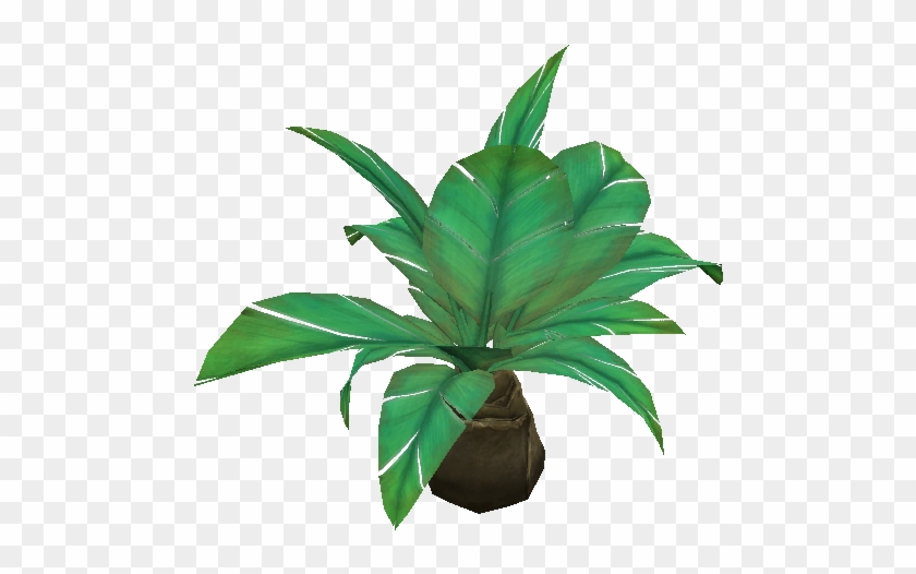 Jungle Palmetto - Houseplant #1284763