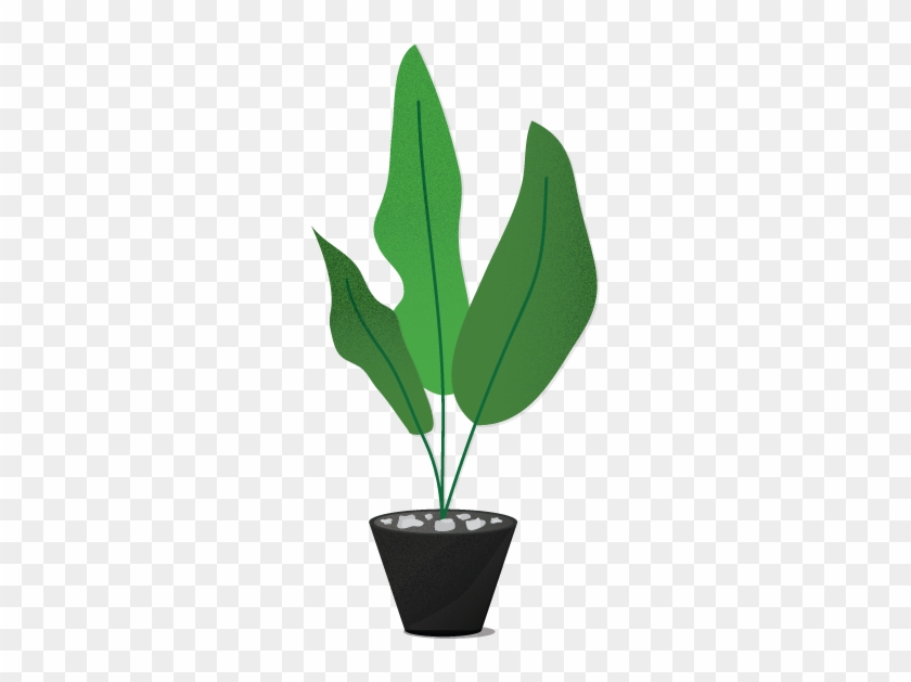 Let's Connect - Houseplant #1284764