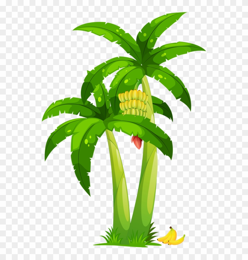 Arbre,png - Cartoon Of Palm Trees #1284791